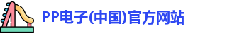 PP电子